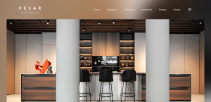 Website von Cesar